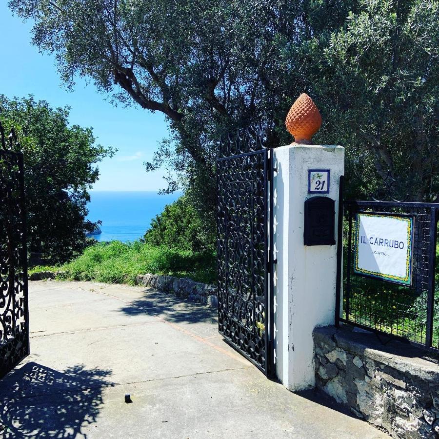 Penzion Il Carrubo Capri Anacapri  Exteriér fotografie