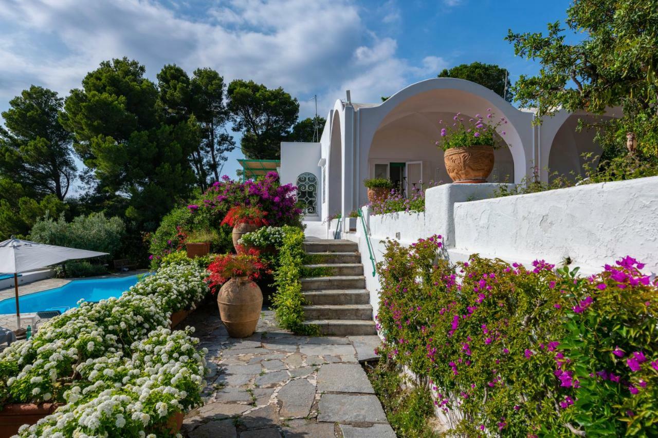 Penzion Il Carrubo Capri Anacapri  Exteriér fotografie