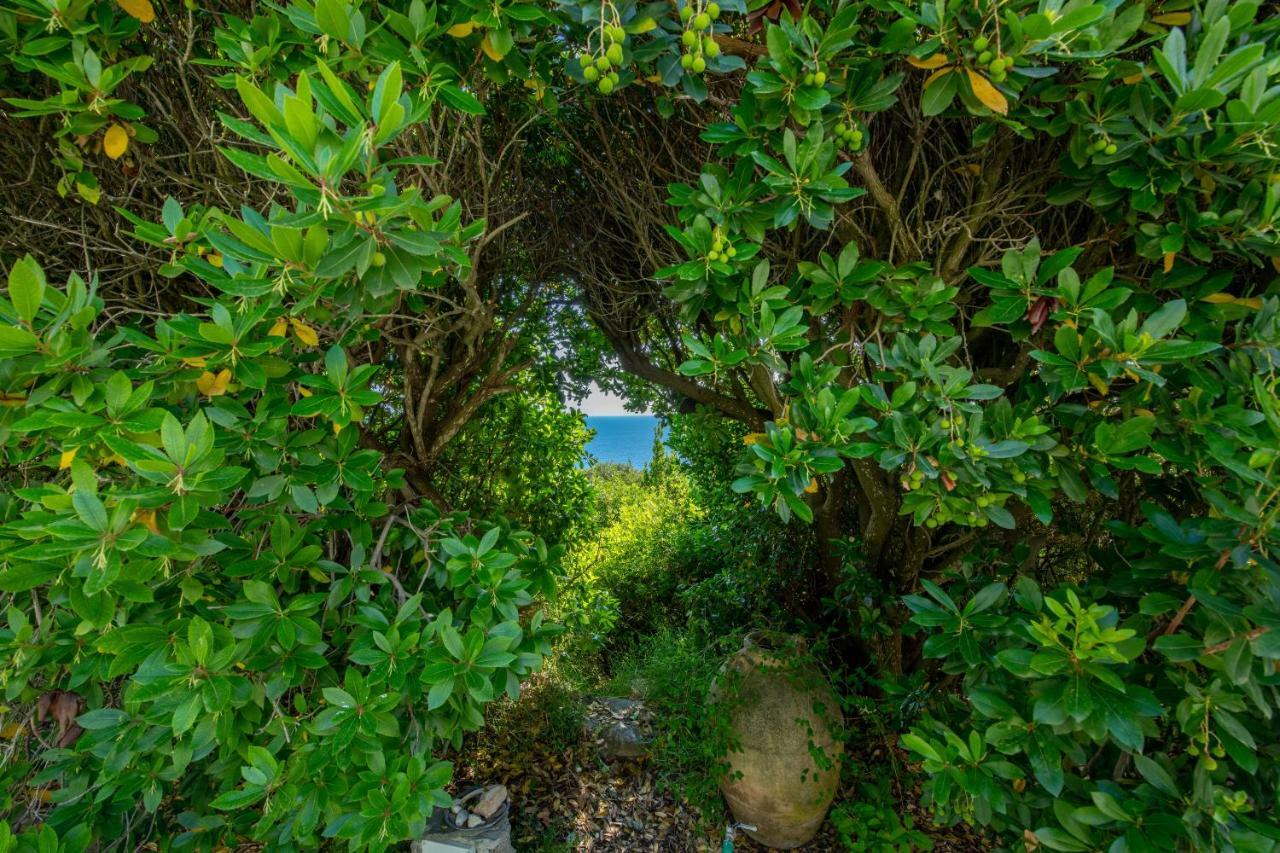 Penzion Il Carrubo Capri Anacapri  Exteriér fotografie